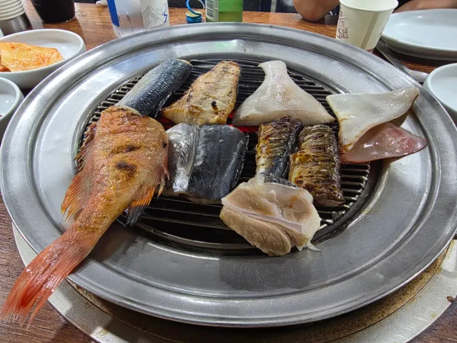 丸い網に並ぶ魚とイカ
