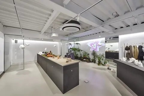 8DIVISION 明洞本店