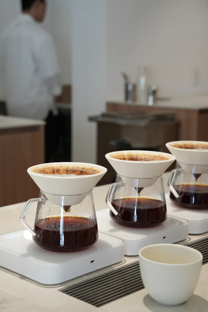 フィルターコーヒー エチオピア チェルベサ ウォッシュド