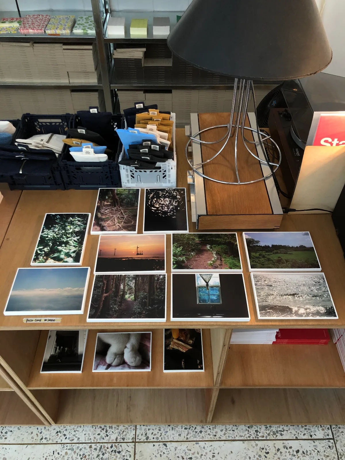 ALLWRITE 西村店 — 風景と猫の写真ポストカード