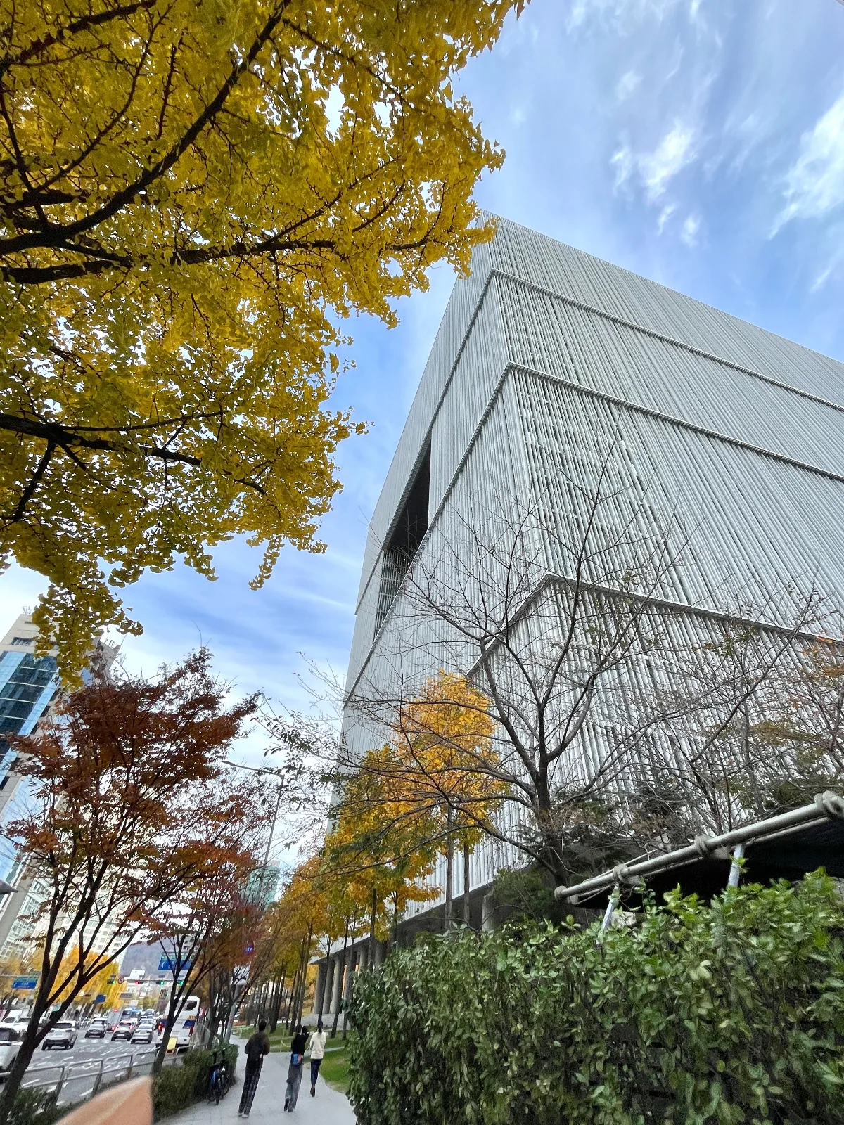 アモーレパシフィック美術館 — 黄葉したイチョウと美術館の建物