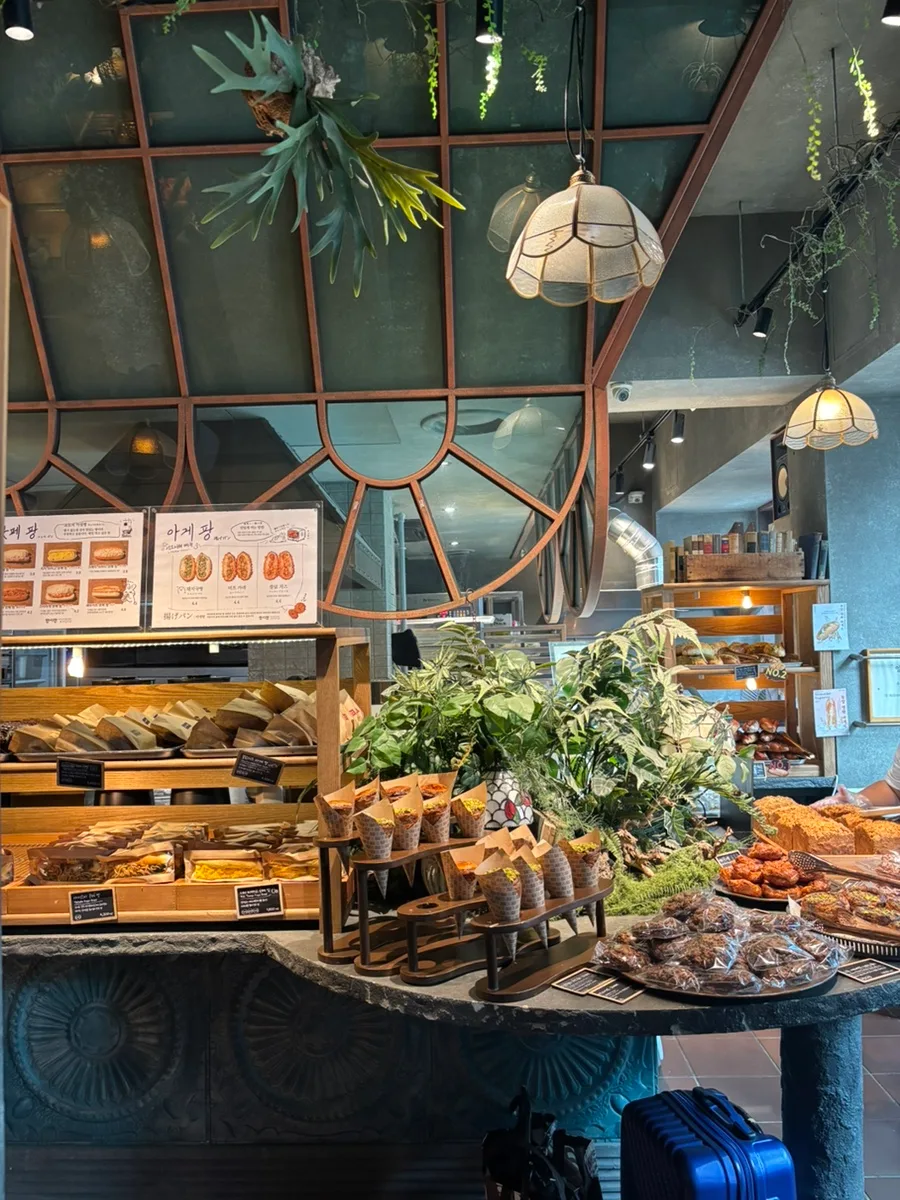 アンシアン — 植物とパンが並ぶ店内