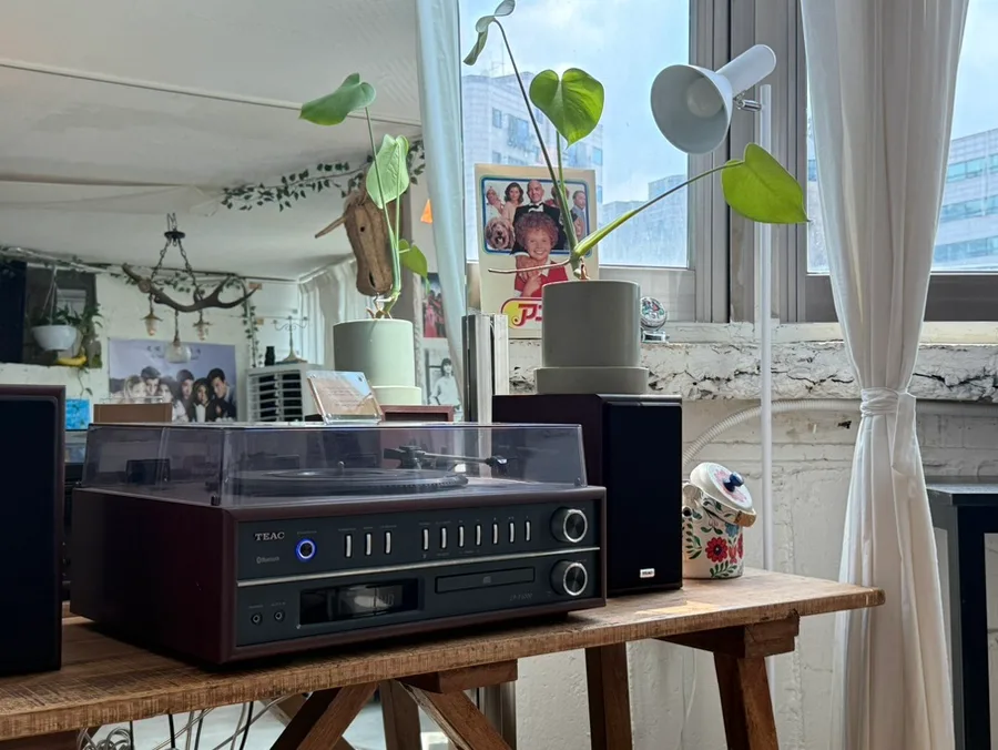窓辺のレコードプレーヤーと鉢植え
