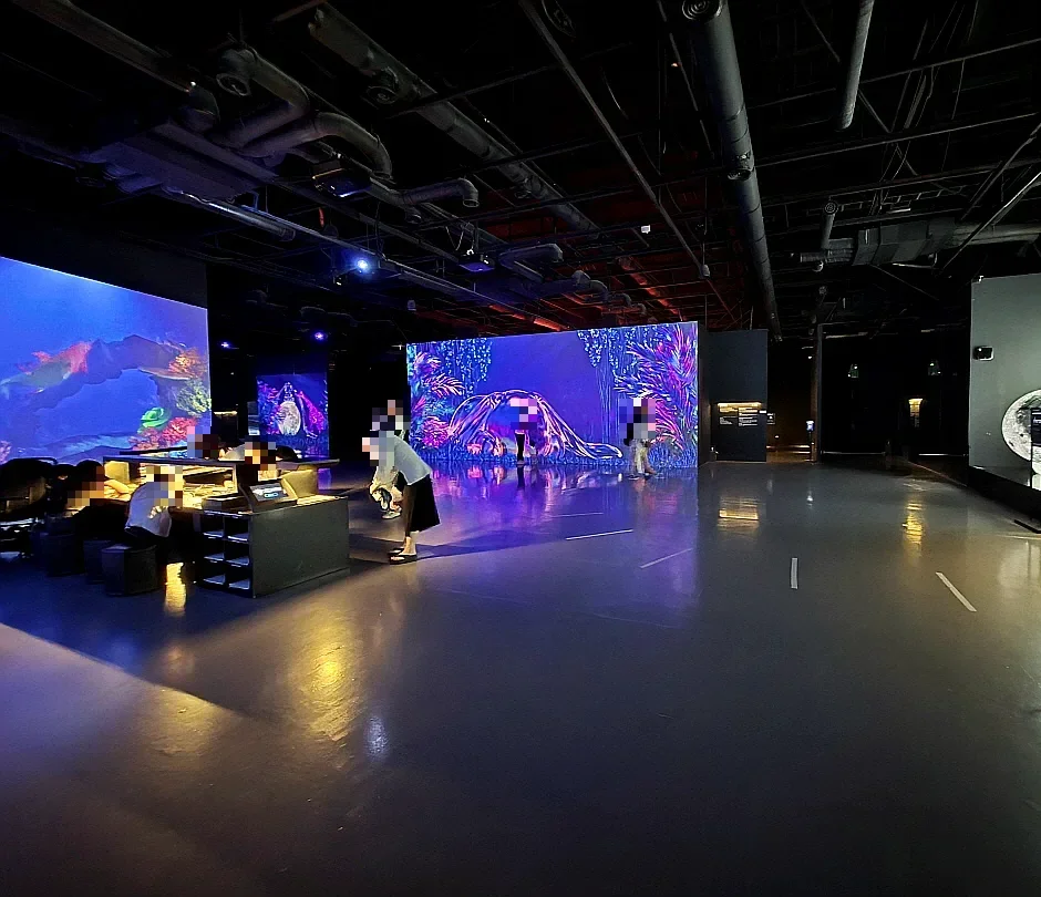 アルテミュージアム済州 — 映像が広がる展示ホール