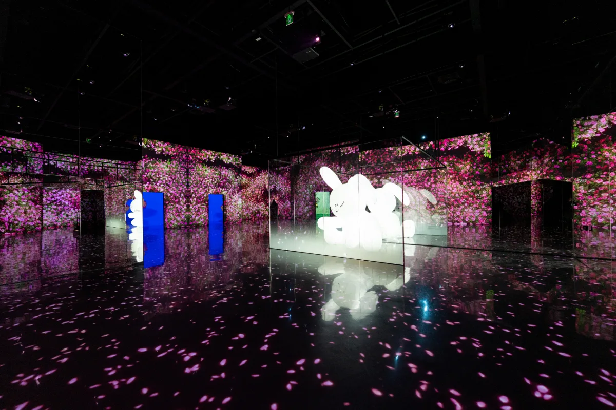 花びらの映像に囲まれた白いウサギの展示室