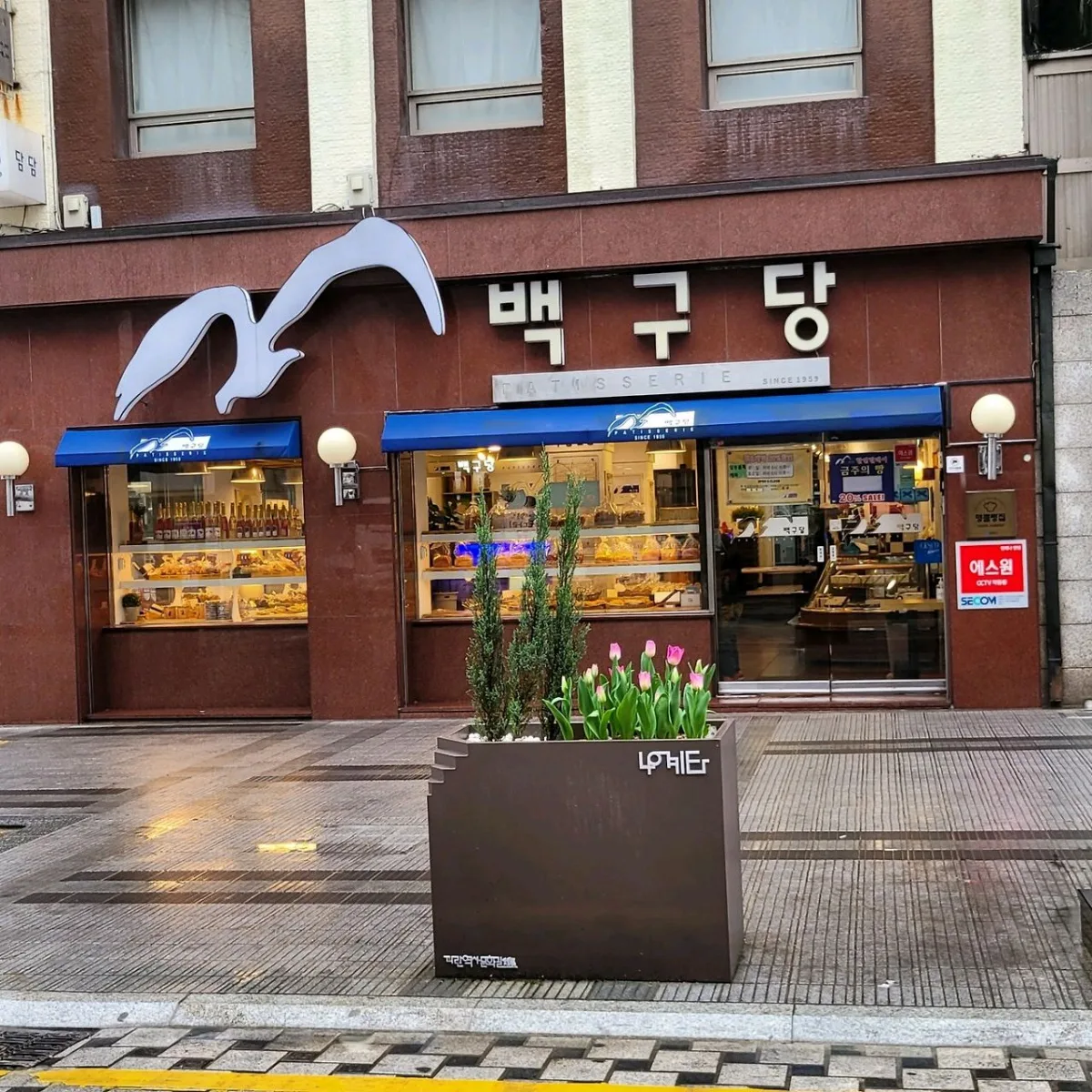 ペックダン — 白いカモメと青いひさしの店先
