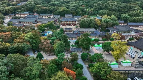 梵魚寺