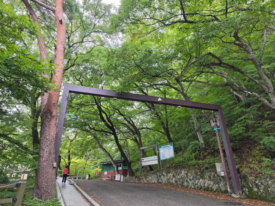 木々に覆われた梵魚寺への道