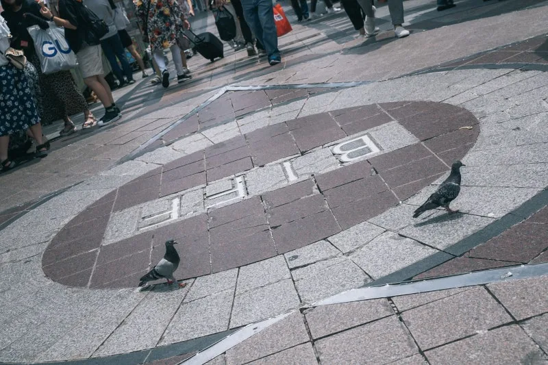 BIFF広場 — 地面に描かれたBIFFのロゴ