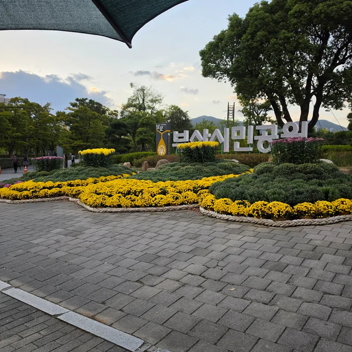 釜山市民公園 — 釜山市民公園の看板と黄色い花壇
