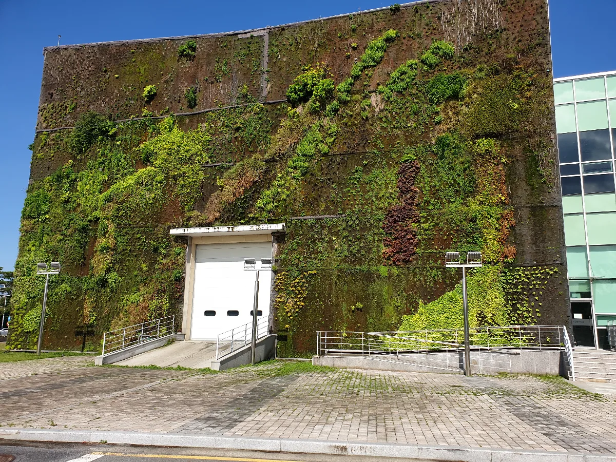 植物に覆われた壁と白い大型扉