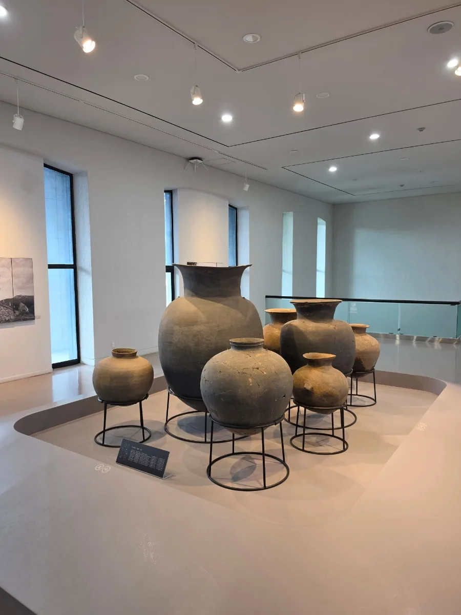 大小の土器が並ぶ展示