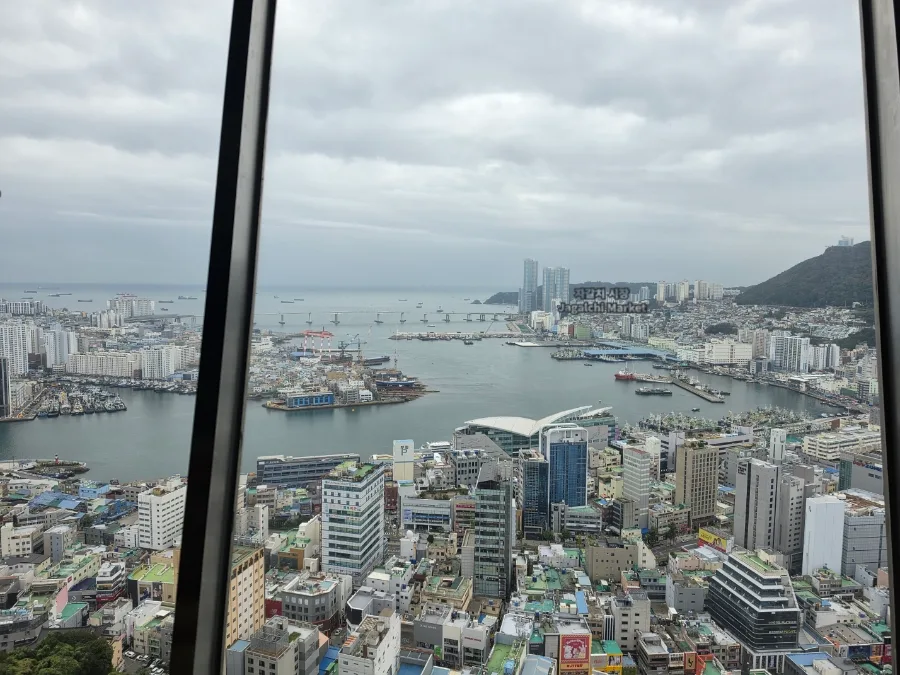 釜山タワー — 展望台の窓から見下ろす港と街