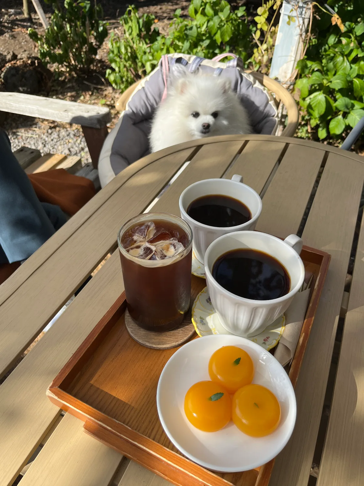 犬と過ごす庭のカフェテーブル