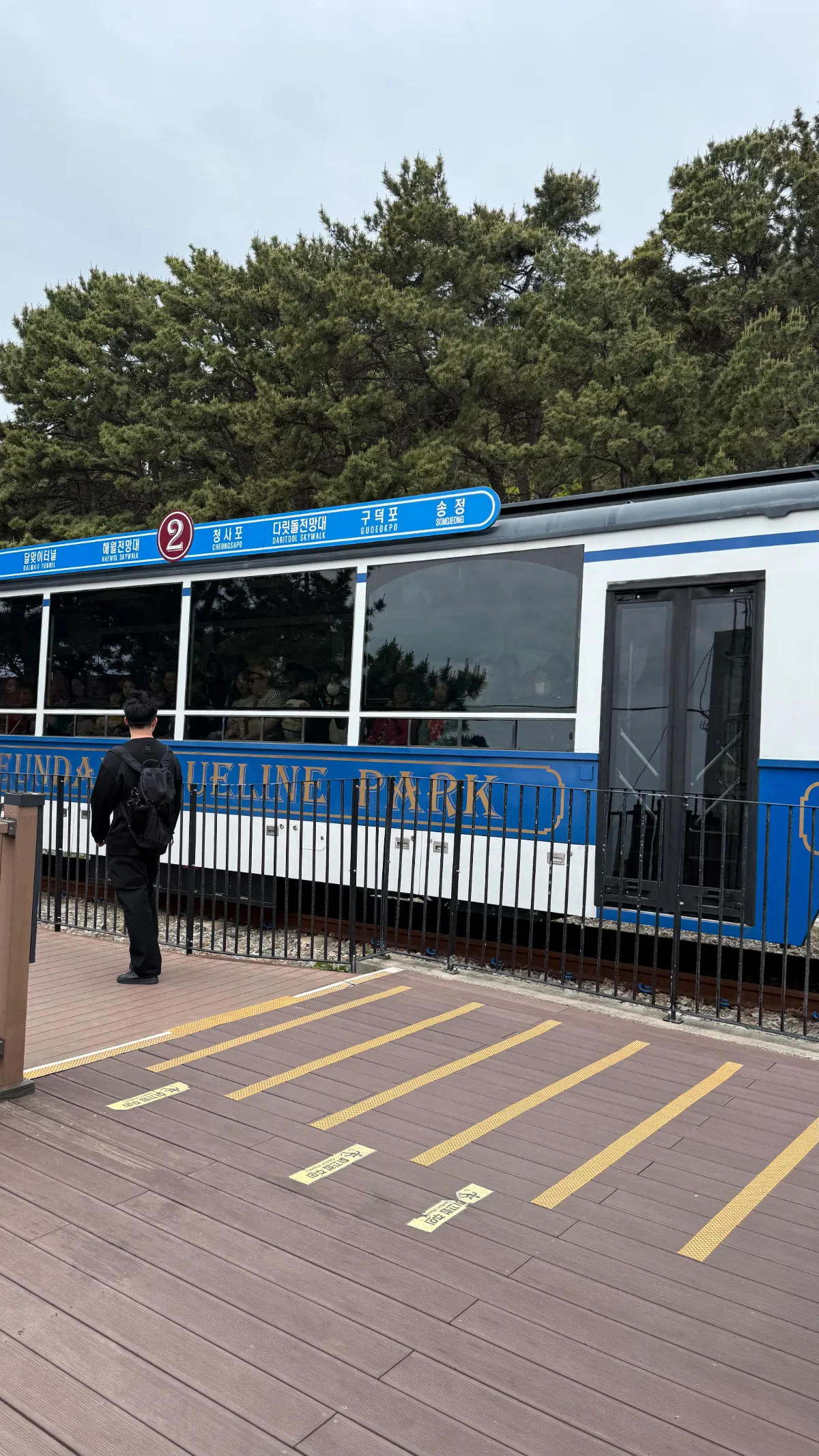 展望台そばに停まる海辺列車