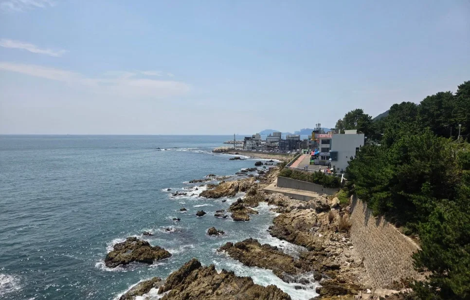 青沙浦タリットル展望台 — 展望台から見た青沙浦の岩場と海岸線