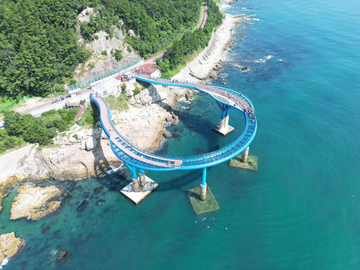 青沙浦タリットル展望台 — 海へ弧を描く青い展望台