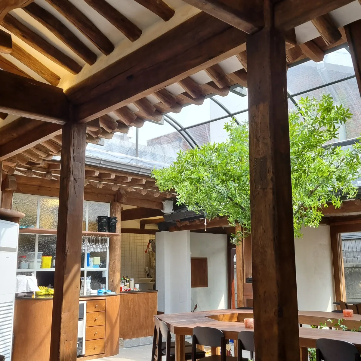 コンカセ 安国店 — 韓屋の梁とガラス屋根の下に木が立つ店内