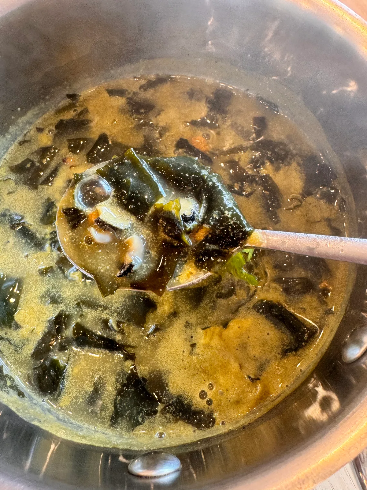 お玉にすくった貝とワカメのスープ
