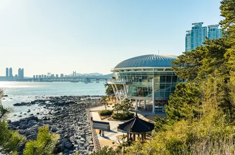 冬柏島