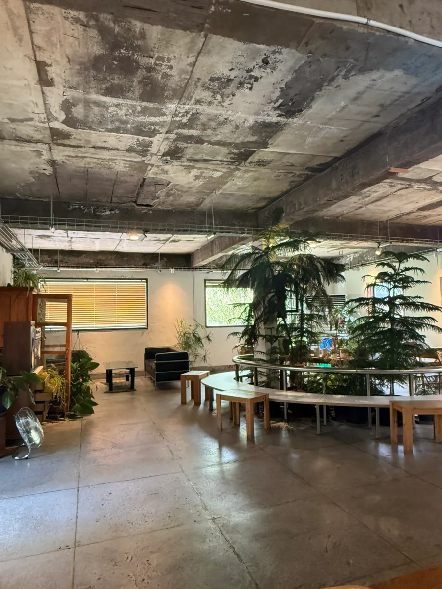 ECC COFFEE — 大きな植物を囲むベンチ席