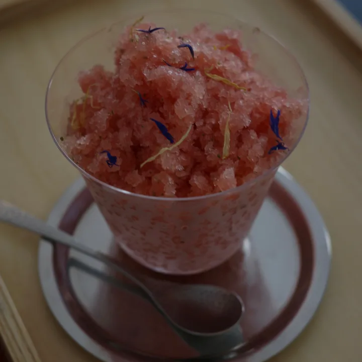 季節限定・自家製スイカシャーベット