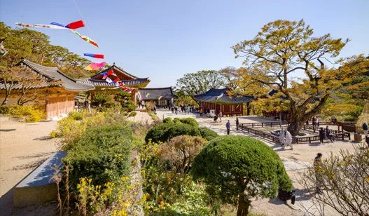 大木と伽藍が並ぶ伝灯寺の境内
