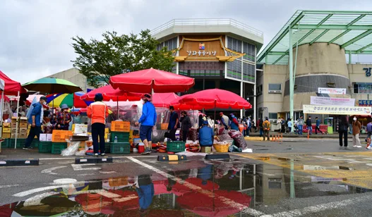 赤いパラソルの露店が並ぶ江華豊物市場の前
