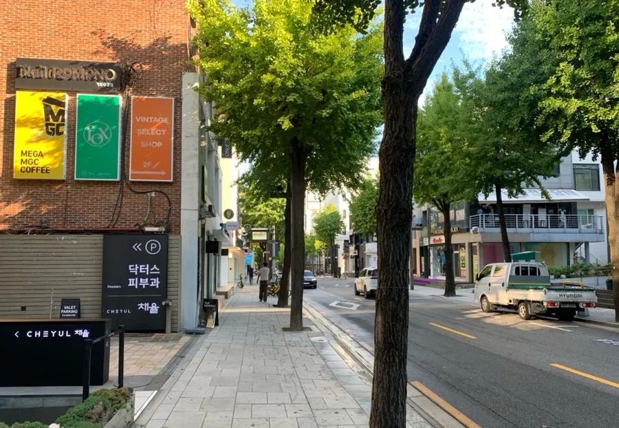 カロスキル — 並木と店が続くカロスキル
