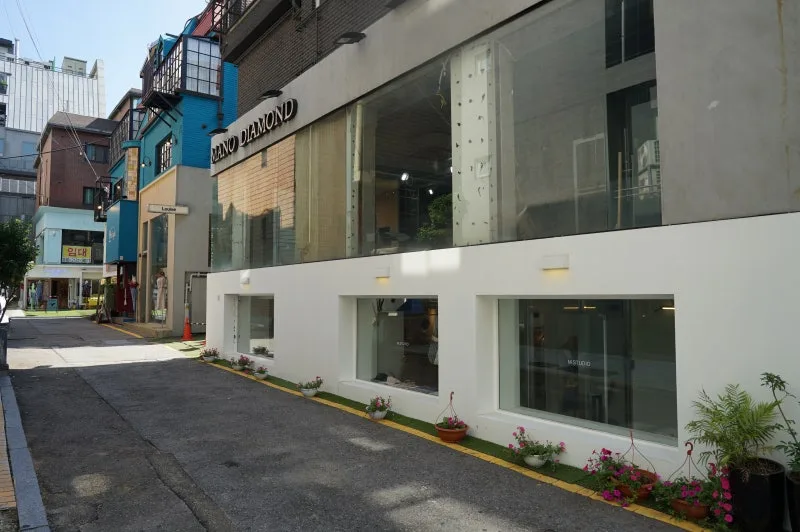 ガラス張りの店と路地の鉢植え