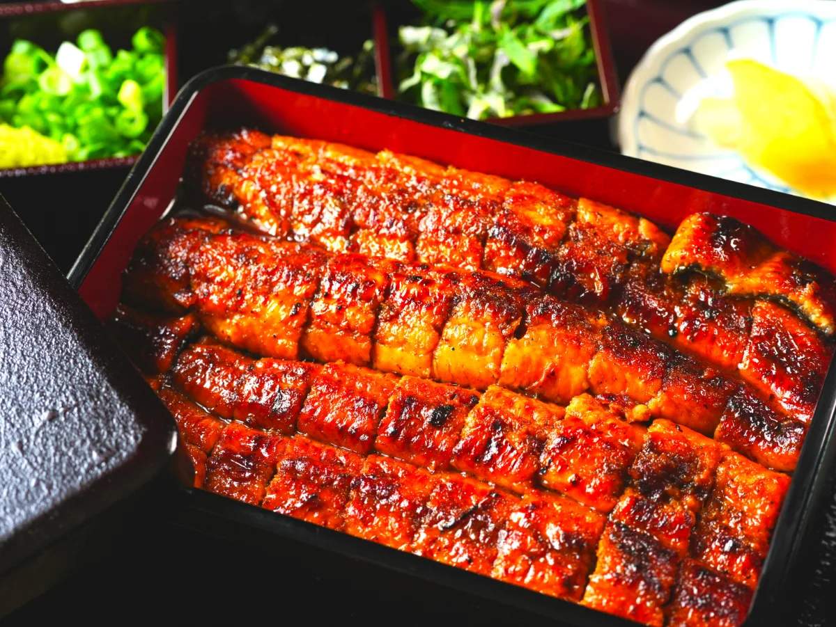 ゴオク — 重箱にぎっしり並ぶ焼きうなぎ