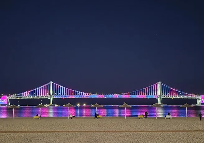 浜辺から望むライトアップされた橋