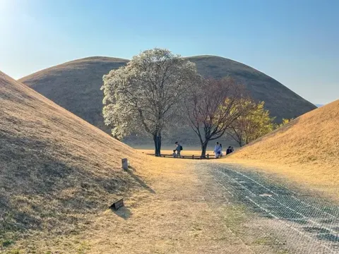 大陵苑