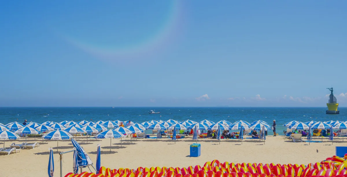 夏の砂浜に並ぶ青いパラソル