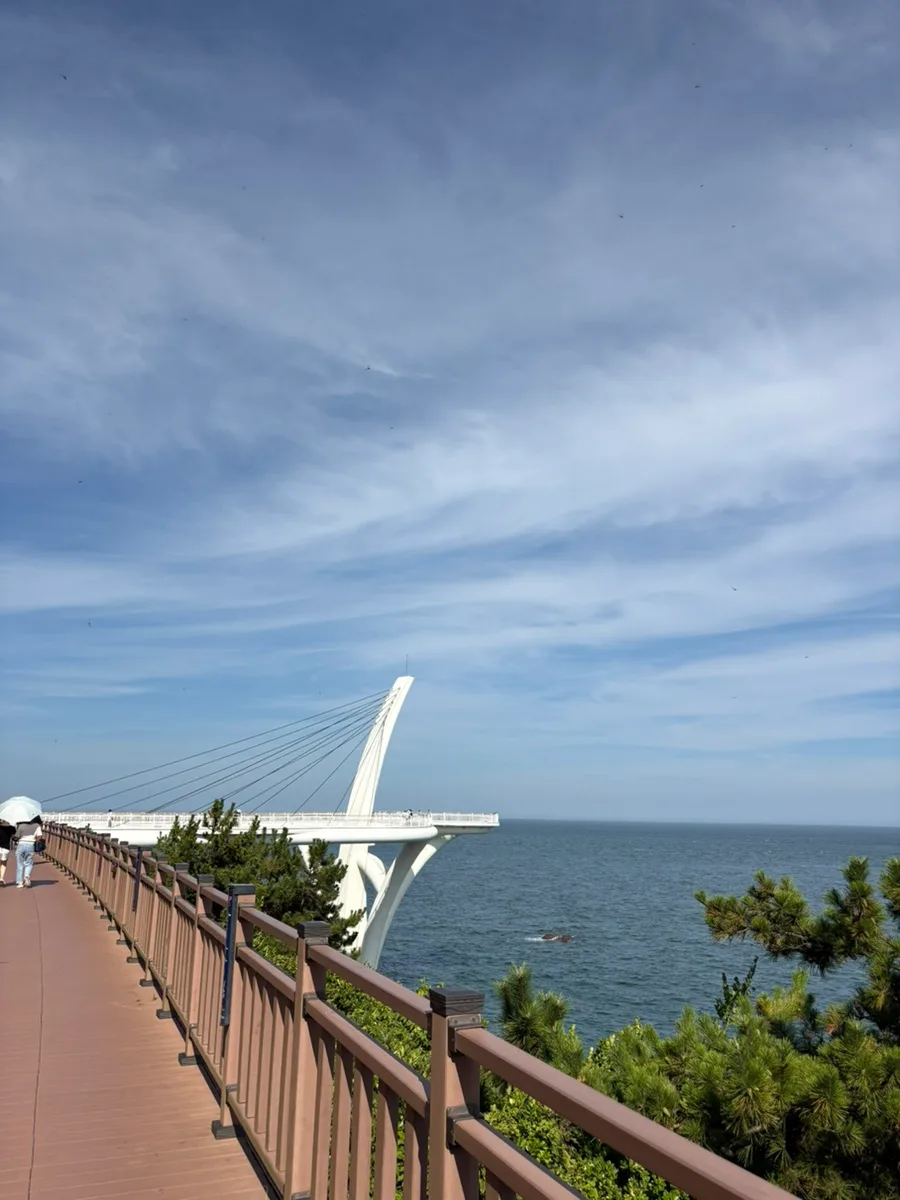 展望台へ続く海沿いの遊歩道