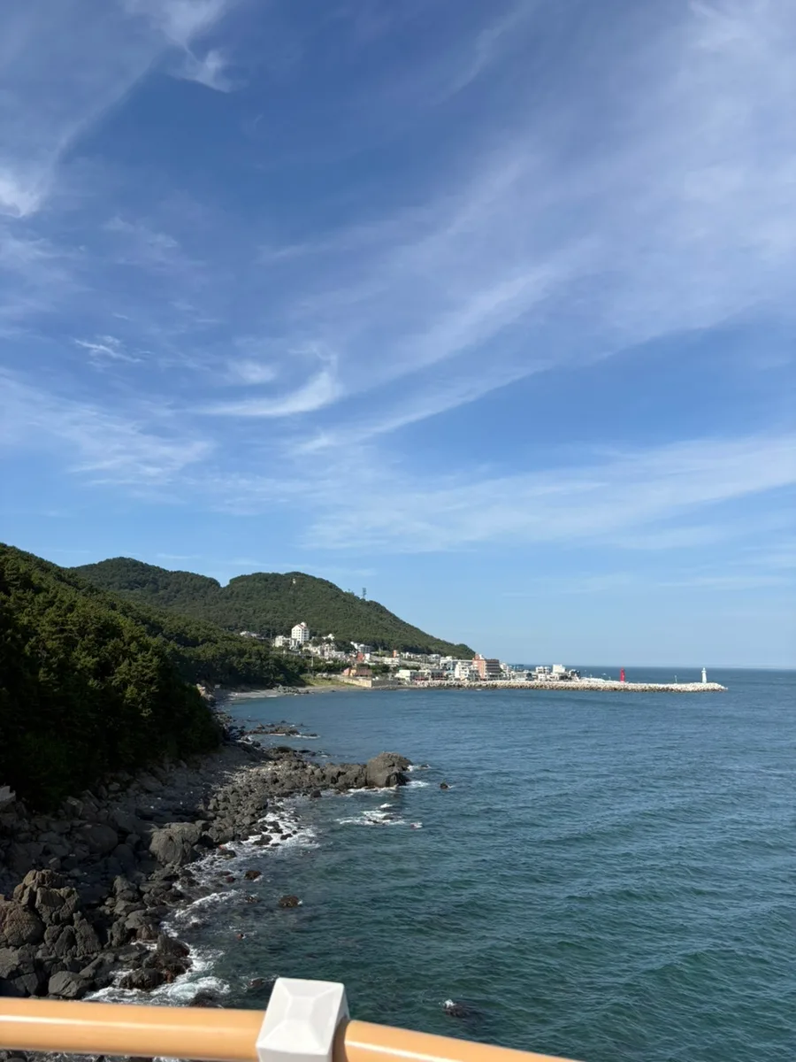 展望台から望む岩場と遠くの港