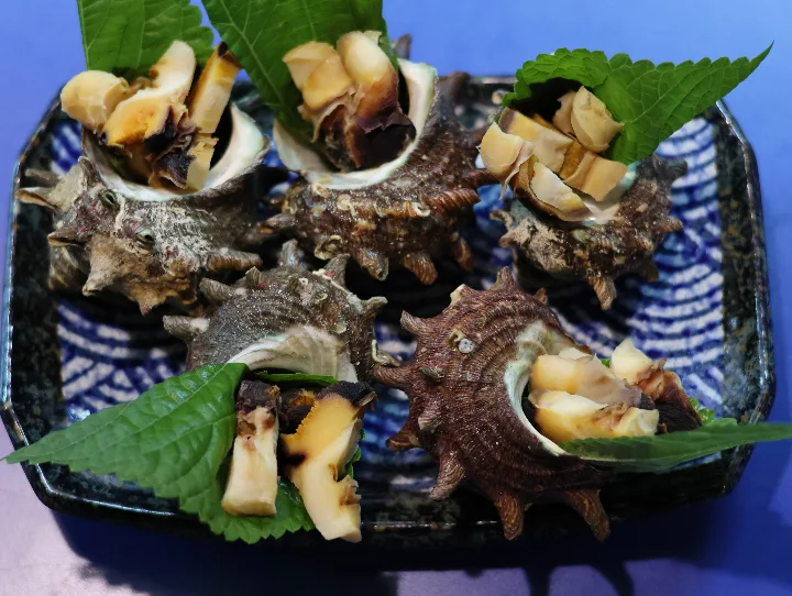 サザエの刺身・蒸しサザエ（各1皿）