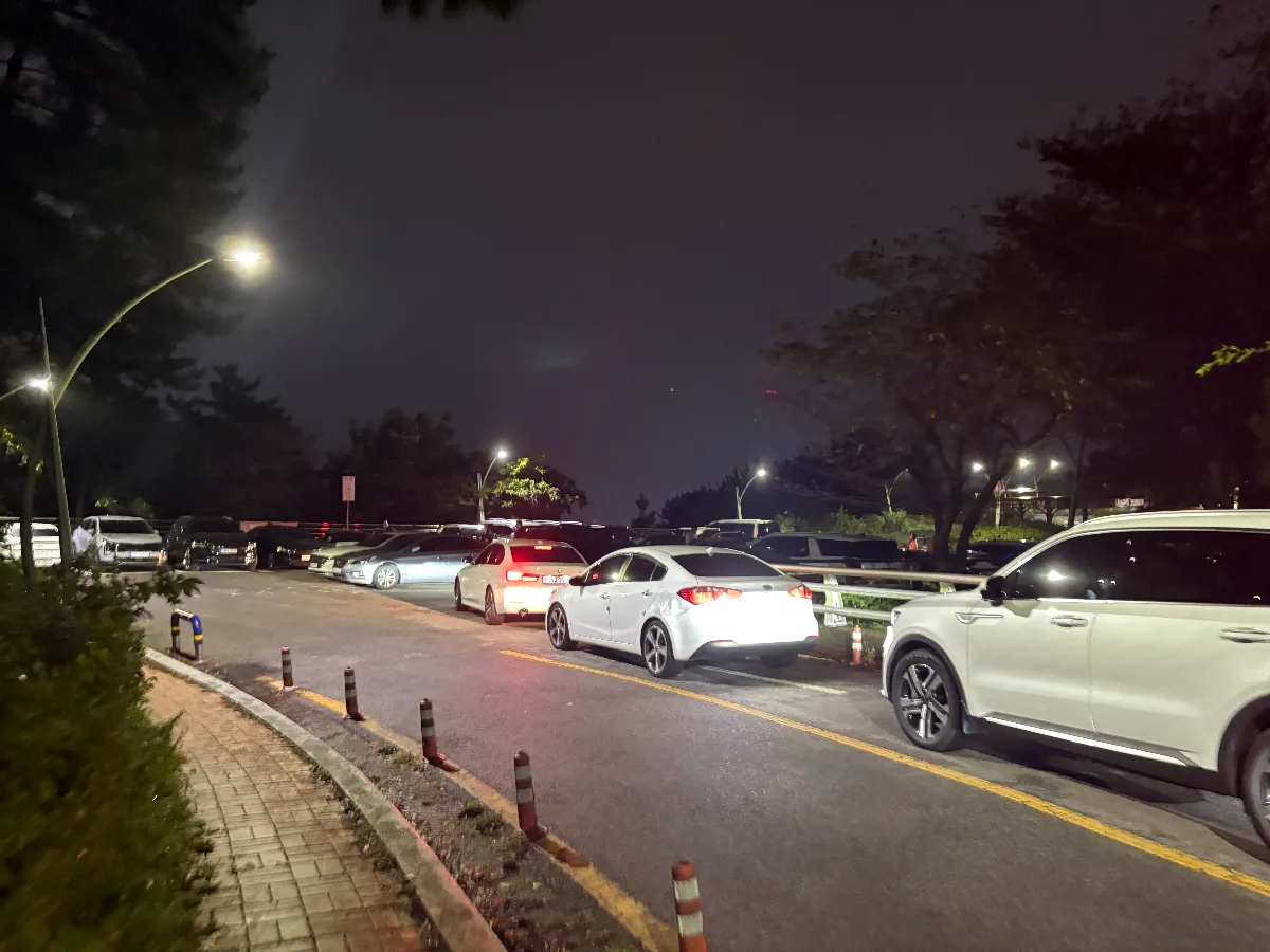 夜の山道に並ぶ車と歩道
