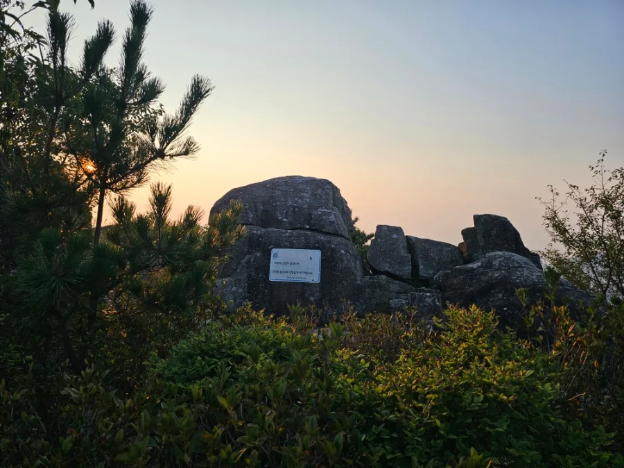松と茂みに囲まれた大きな岩