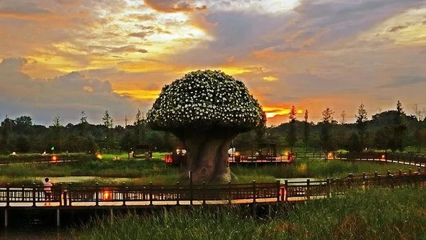 臨津閣 — 夕空に浮かぶ公園の木の作品