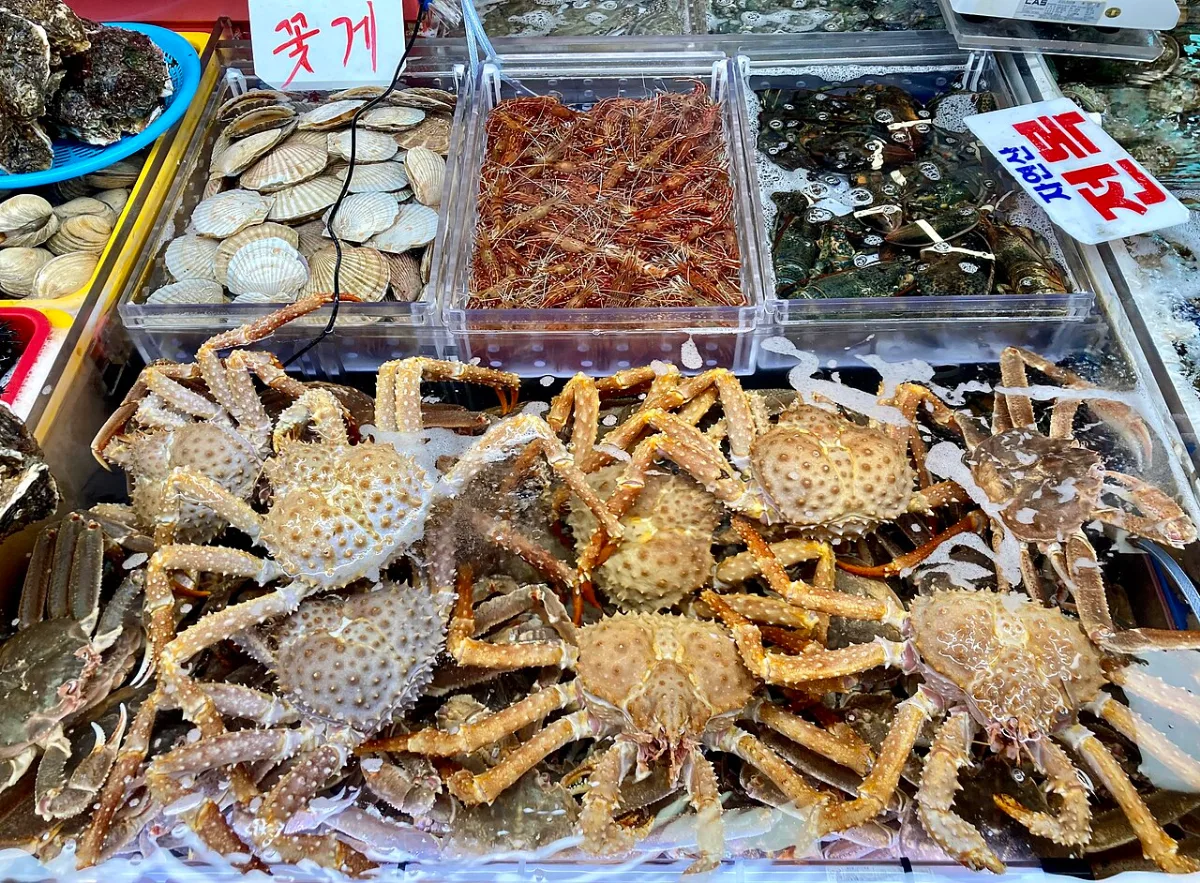箱に並ぶ生きたカニ