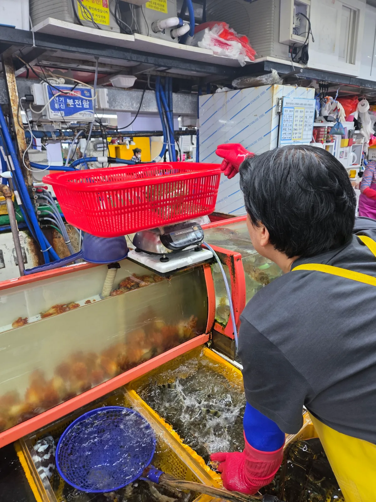 水槽のカニを選ぶ店の人