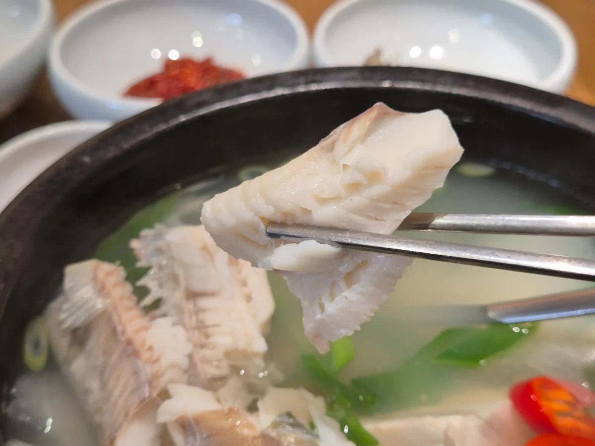 箸で持ち上げた白い魚の身