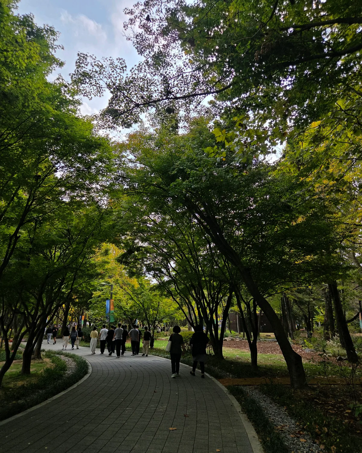 梅軒市民の森 — 木々に包まれた曲がりくねる散歩道