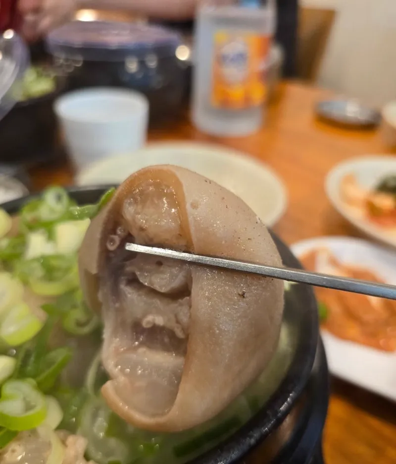 ウジョクタン