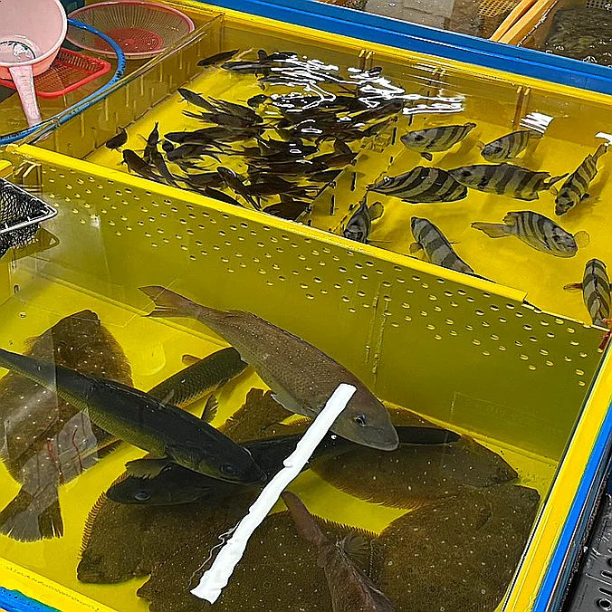 黄色いかごの中を泳ぐ活魚