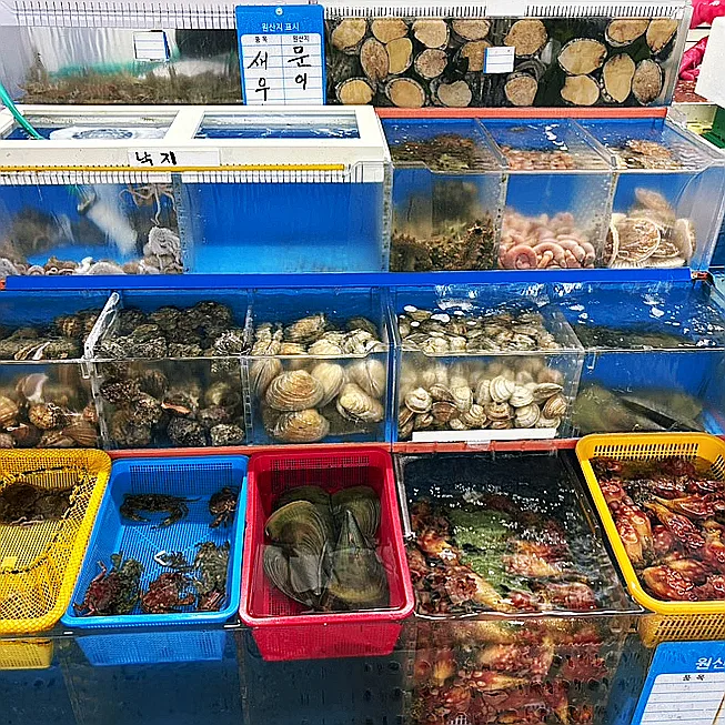 民楽漁民活魚直販場 — 貝やタコが並ぶ売り場の水槽