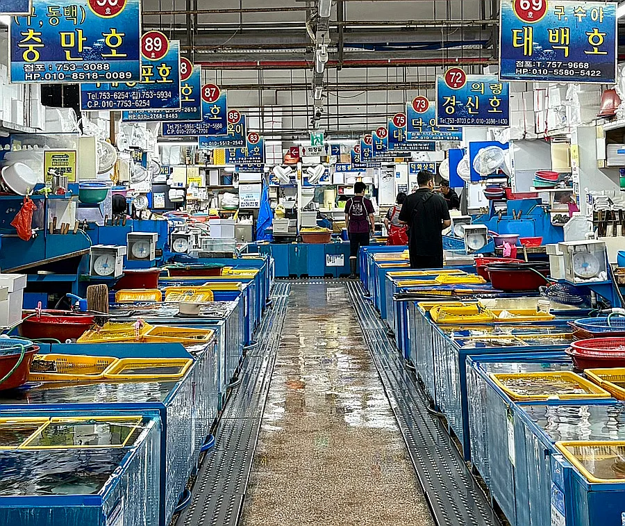 民楽漁民活魚直販場 — 青い水槽が並ぶ活魚売り場