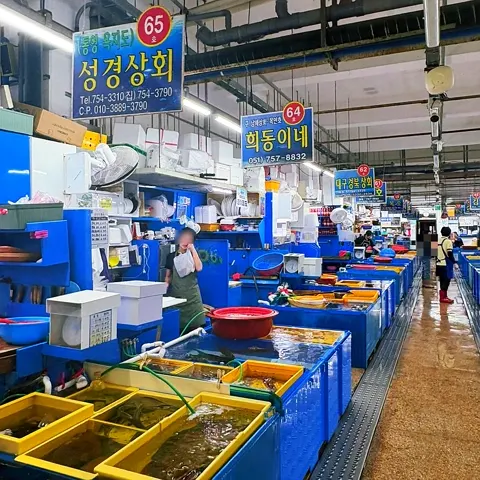 民楽漁民活魚直販場