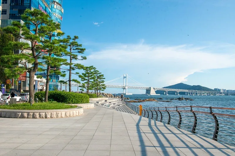 広安大橋を望む海沿いの遊歩道